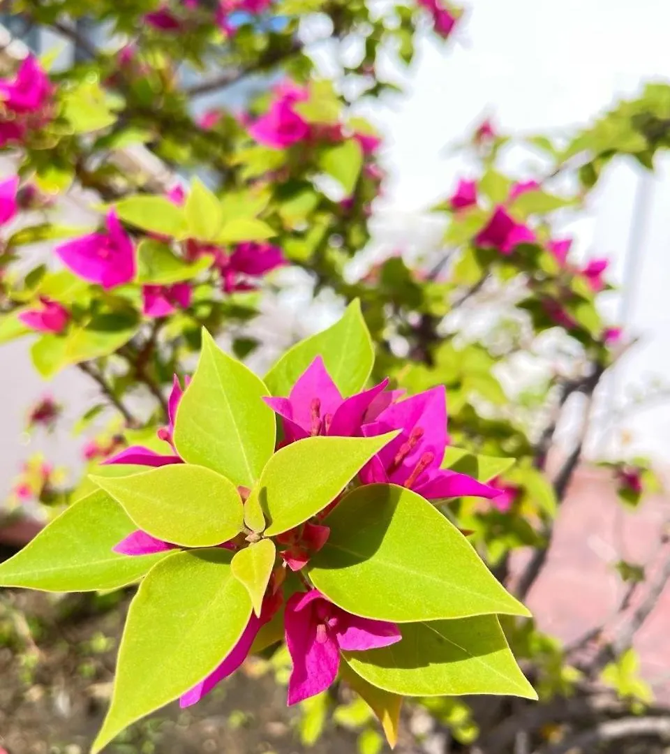 Pho Bien Hotel Nha Trang Vietnam