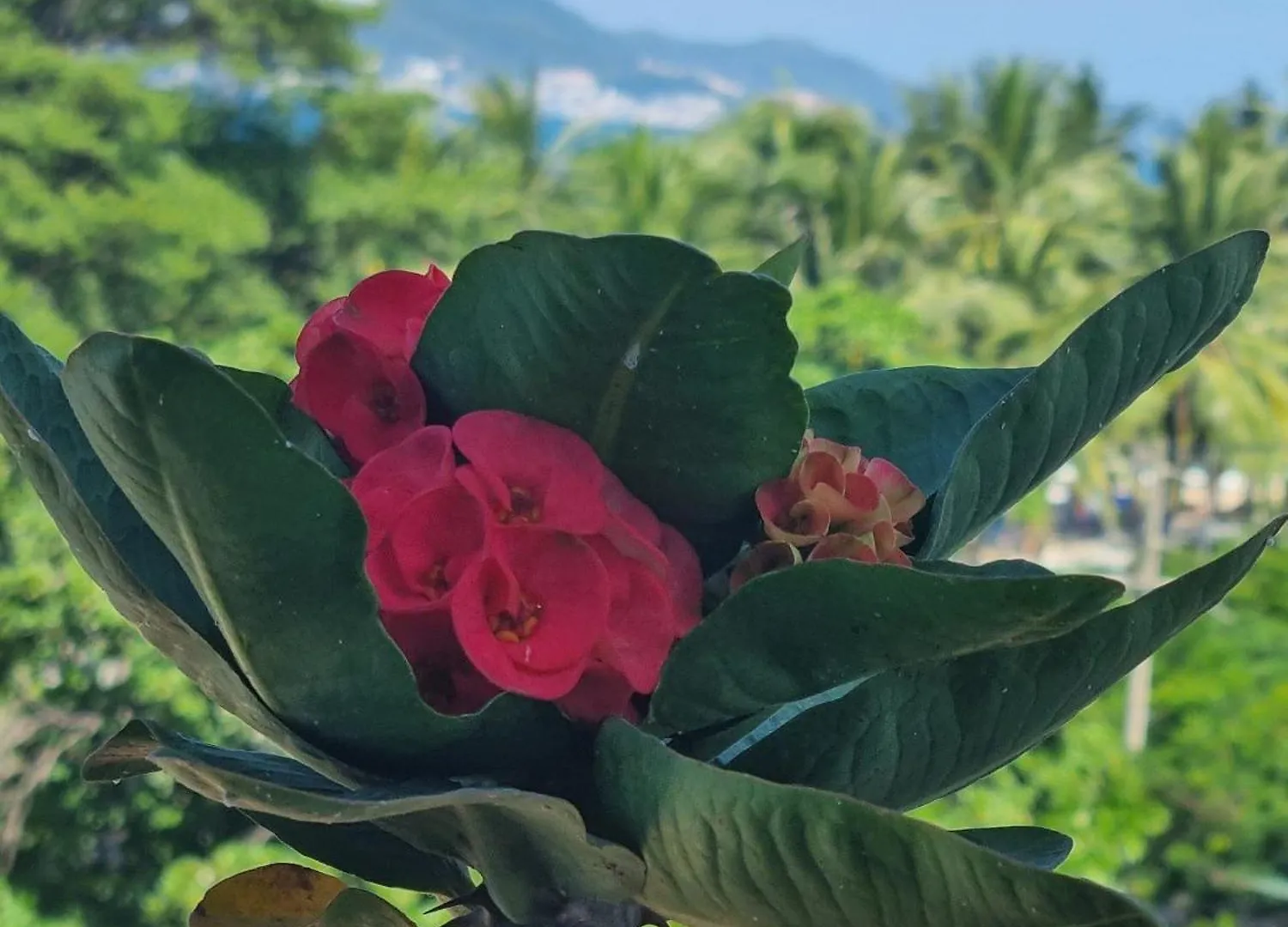 Pho Bien Hotel Nha Trang